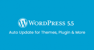 Wordpress 5.5 New Security Features