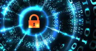What Are the Three Types of Firewalls?