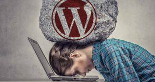WordPress Websites Hacked